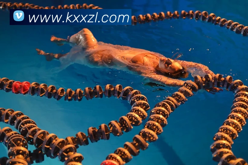 尊龙凯时APP 封面图